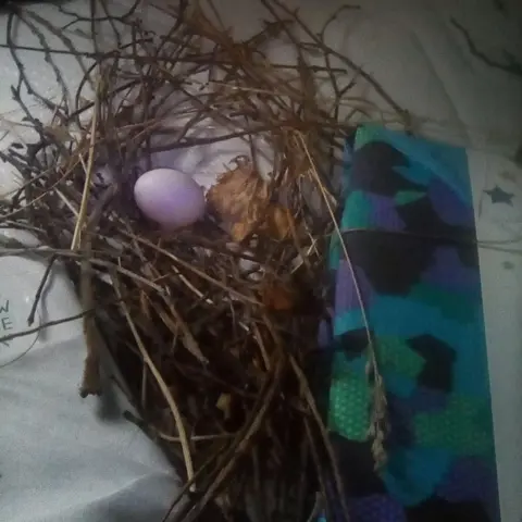 Hollie Purton An egg lays inside a nest made of twigs which has been formed on a white bed.