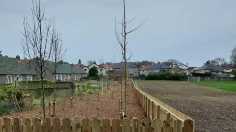 Young trees planed in soil within a wide border that had a wooded fence along the outer edge. The border runs alongside the back of a row of houses on the left, and the park area on the right.