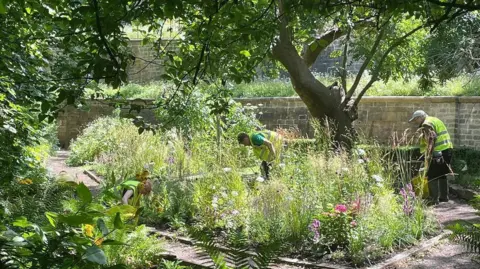 Sally Puddifoot Two rectangular flower beds are visible in a walled garden. A path separates the beds. They contain a mixture of bushes, grasses and flowering plants in red and pink. Thre men in high vis jackets are working on the garden.