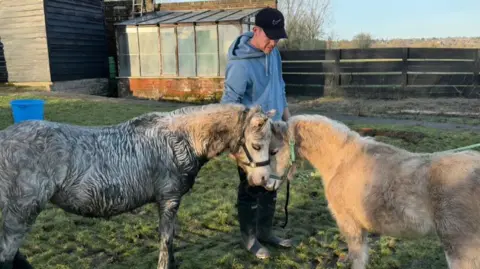 Hertfordshire Fire and Rescue Service A man in outdoor clothing stands on grass holding two ponies by their halters. One pony is muddy and damp from the rescue while the other, lighter in colour, stands facing it.