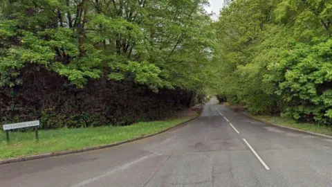 Road sign on left looking down tree-lined lane