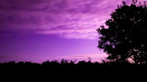 BBC Weather Watcher Ben Stars create dots across a vivid purple sky with trees and hedge line in silhouette