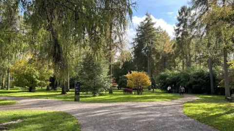 The image captures a forest scene where a path forks into two, bordered by grass and towering trees. A few people can be seen walking along the right-hand trail.