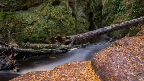 Getty Images A fast-flowing river running through a glen