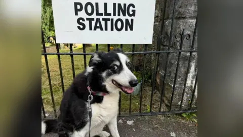 Esyllt Sears Twm the dog side-eying the camera