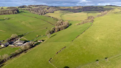 Dorset Wildlife Trust Lyscombe