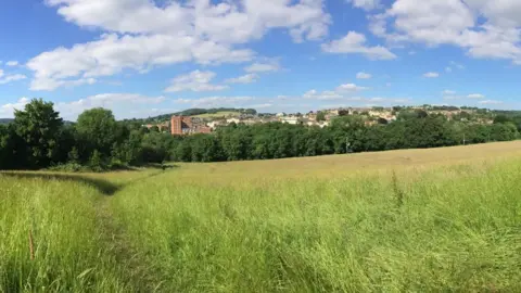 A field full of long grass with a path trodden through it. There is a line of trees bordering it and, behind that, a town. The sky above is blue with some clouds scattered across it.