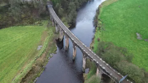 A bird's eye view of the viaduct, cutting across the river valley diagonally in a gentle curve, its pillars visible. The river is dark and there is green grassland and bare trees on both banks.