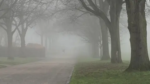 Nicky Clark Shrewsbury's Quarry park, covered in mist and fog. You can see a footpath and some trees, but the landscape beyond the foreground is swallowed up by the gloomy weather. 