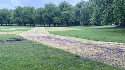 Large area of yellow grass with vehicle marks in muddy patches. A line of green tress and green grass is in the distance.