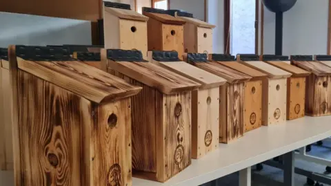 Wooden bird boxes lined up next to each other on a table. They all have small holes on the front for a bird to get inside.