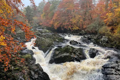 SKatie Shore/BBC Weather Watchers A river swollen by rain rages downstream, over large mossy rocks. The river is lined by woodland with trees of red and orange leaves.