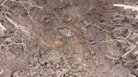 Wendy Cox A coin in the dirt