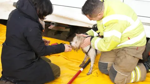Eddie Mitchell A woman in a dark coat is kneeling with a fire fighter as they rescue a white-furred dog who is receiving treatment. 