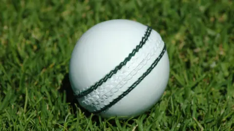 white cricket ball