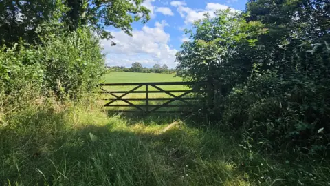 Rachel Russ SUNDAY - A grass track leads to a wooden gate with a green field behind. The track has long green grass and on either side are high green hedges. On the horizon you can see trees and overhead the sky is blue with white fluffy clouds.