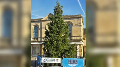 Westbury Town Council A large Christmas tree with barriers round it in front of of three-storey Georgian-style building.