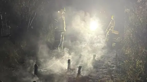 Firefighters in kit look on as smoke rises above ground scarred by the fire.