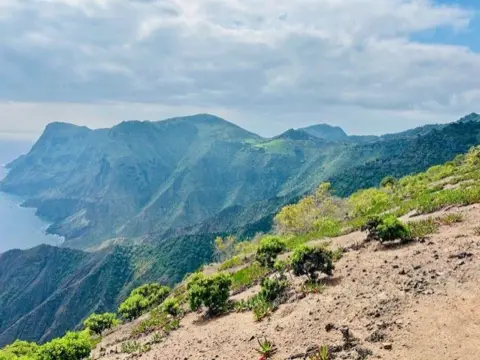 Beth Rose A photograph of Blue Point, showing both the rocky and green terrain typical of the island
