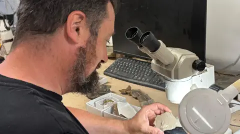Dr Tim Astrop studying the fossil at a desk in front of a microscope