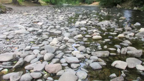 Tudur Davies. El río Elwy. La orilla está formada por guijarros, con el río detrás. Hay árboles en ambas orillas.