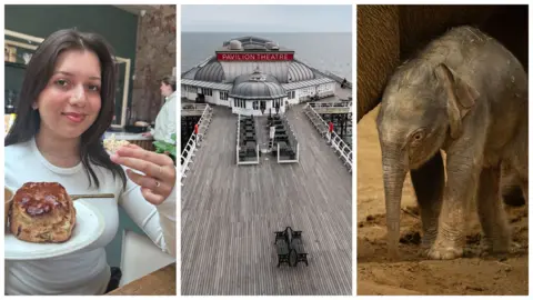A collage showing three images. 1. A female student holding a scone on a plate 2. Cromer pier seen from above 3. A baby elephant standing up