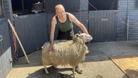 Mike Hewson with a sheep