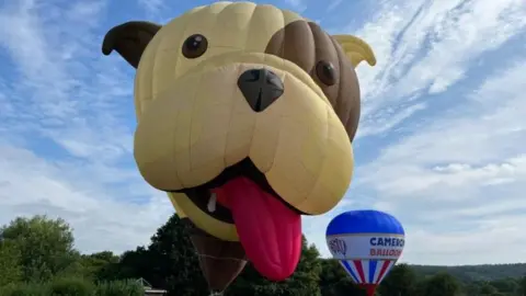 A big bulldog hot air balloon, tethered to a school field in Flax Bourton for the children to learn about ballooning. The bulldog has a brown eye and his left ear is brown. The rest of the balloon (bulldog) is light sand colour and its red tongue is hanging out of its mouth. It is tethered next to a much smaller hot air balloon with Cameron's Balloons written on the side in capital letters. It is blue, red and white and they are tethered on grass with a few people around them.