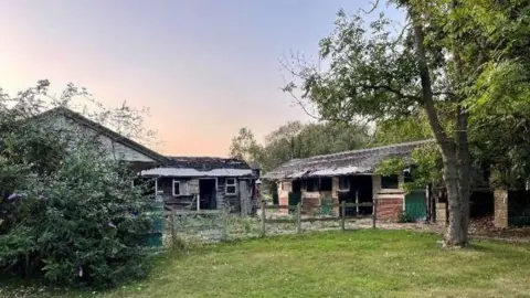 FAIRMILE GROUP LTD/ELMBRIDGE BOROUGH COUNCIL Trees, bushes, grass, fences and stables on the proposed land