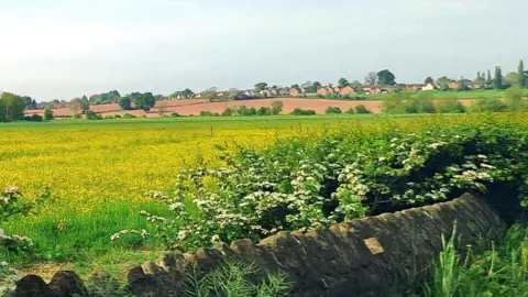LDRS The Lugg Meadow seen from the A438 approaching Hereford 