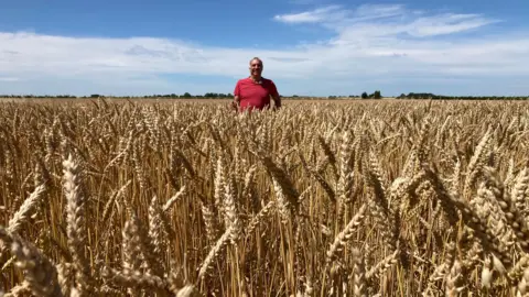 Robin Kurzaj is standing in the middle of his field of long straw, which looks like golden wheat. He is wearing a red t-shirt. There is blue sky behind him and the straw is up to his waist.