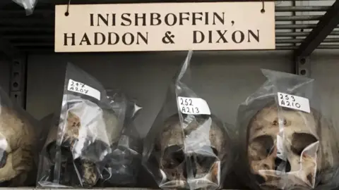 CURATOR.IE Inishbofin skulls