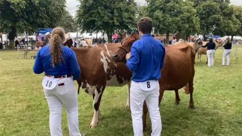 Rob Sykes/BBC A man and woman face away from the camera. They are wearing matching blue shirts and white trousers. They are holding the halters of two brown cows. Behind them crowds look on. 