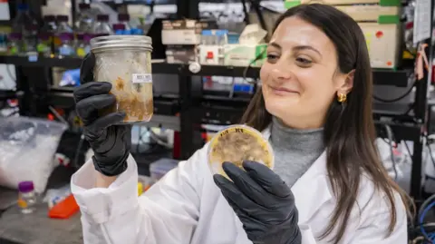 Stanford University researcher