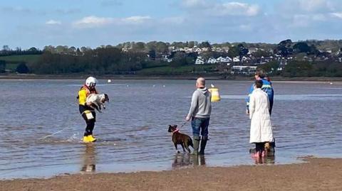 Exmouth RNLI crew member brings a dog back to dry land