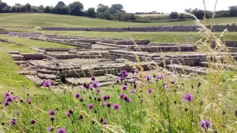 North Leigh Roman Villa Volunteers The ruins of the villa pictured amid a green field. The stone bricks are at low height, the size and shape of the rooms visible from the location of the bricks. A stone wall is in the distance.