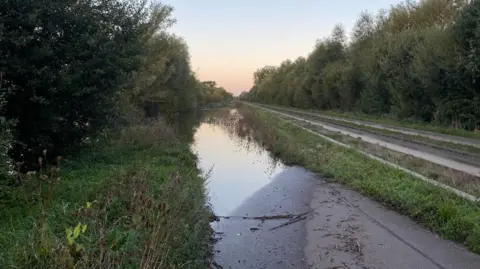 A photo of the busway, which has concrete grooves between grassy sections, with a flooded path next to it. There are hedges on either side.