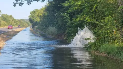 Flooded road with water gushing through vegetation on the right and a road to the left of the flood.