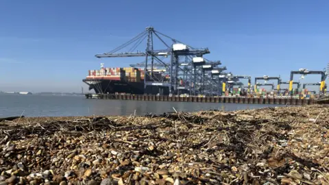 Karen Goddard A view of Port of Felixstowe from a beach. A shingle beach can be seen with some seaweed over it while a shipping boat rests at the port in the distance. Cranes can be seen overhanging the ship used to move the shipping containers.