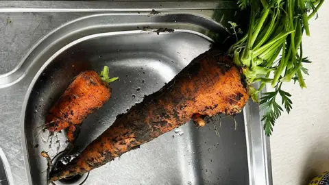 Food Futures The giant carrot in the sink, still covered in soil, next to a smaller, stumpy carrot.