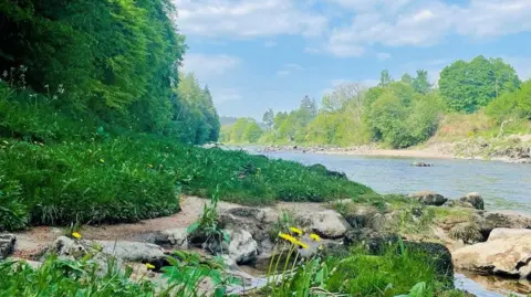 The River Dee near Banchory, Aberdeenshire