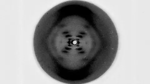 King's College London Photo 51, x-ray diffraction pattern of the B form of DNA 