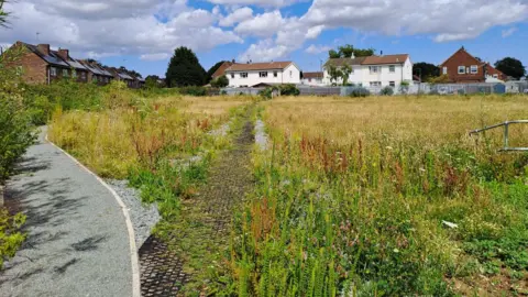 An open grassy field bordered by a residential area. The field appears overgrown, with tall yellowing grass and patches of green weeds scattered throughout. A narrow, uneven path made of old cobblestones runs through the centre, partially covered by vegetation. To the left, there is a curved gravel walkway that looks more maintained.
