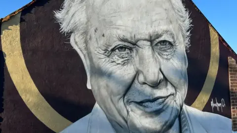 W.Ave Arts Sir David Attenborough mural, St Leonards