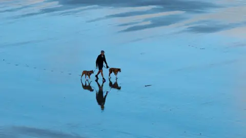 A wide shot of a wet sandy beach. A man is pictured waking two boxer dogs across the sand on the lead. 