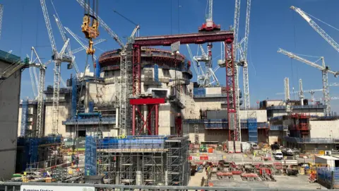 Cranes surround one of the cylindrical reactor buildings at Hinkley Point C