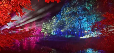 Gosia Dudek Trees lit up at night with red, blue and pink lights