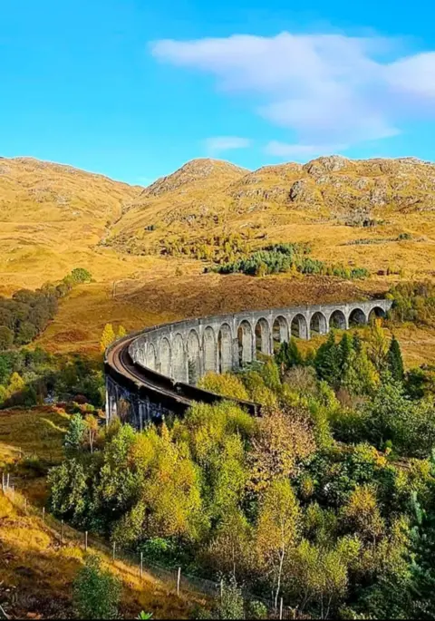 Stephen Holloway A viaduct set in the middle of hills and forest. The sun is shining