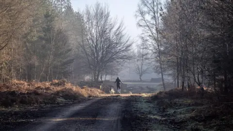 Hang Ross A woman walks along a muddy path through a forested area. There is sun coming through the trees on a misty day. The woman is wearing black and is leading two dogs, one large and one small.