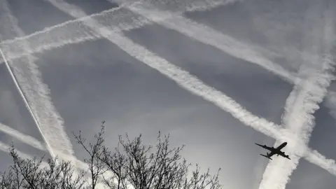 Reuters A jet plane flying against a grid of contrails, white plumes of cloud caused by aircraft, on a grey sky, with leafless tree branches appearing in black silhouette at the bottom left of the image